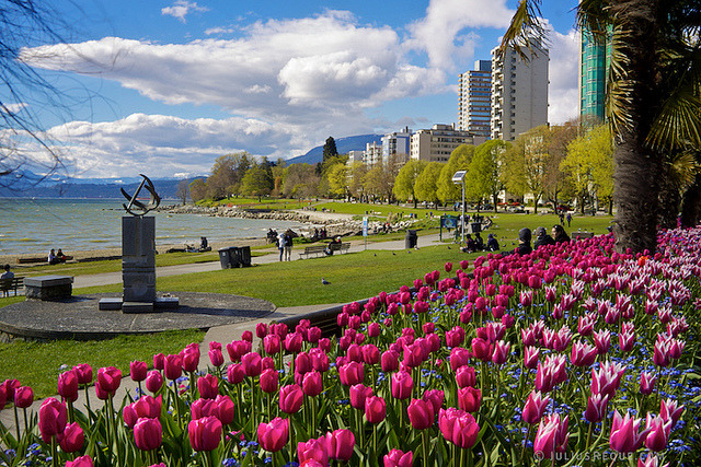 by [travelfox] on Flickr.Tulips in English Bay - Vancouver, Canada.
