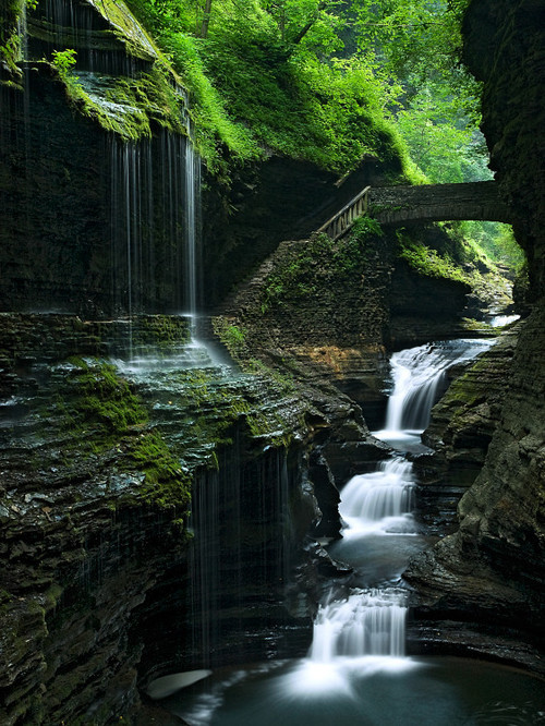 Waterfalling, Watkins Glen, New York