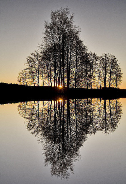Reflection, Vestfold Fylke, Norway