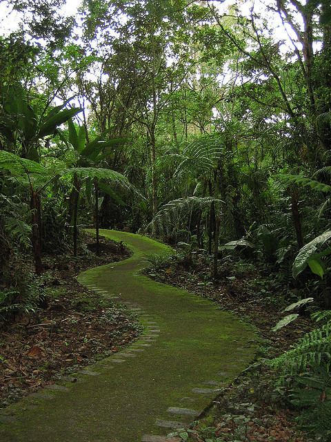 Lankester Tropical Gardens in Valle de Orosi, Costa Rica