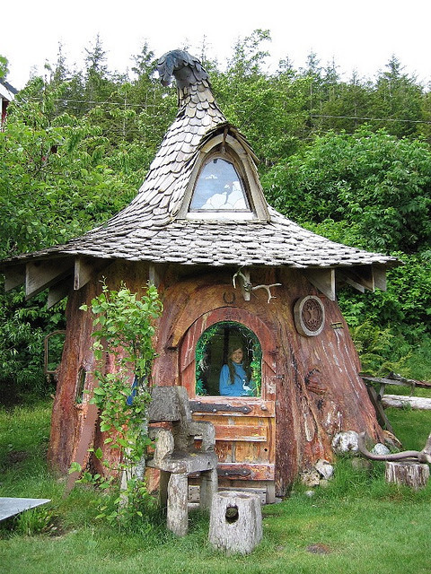 Sitka Spruce Tree House, Queen Charlotte Islands, British Columbia, Canada