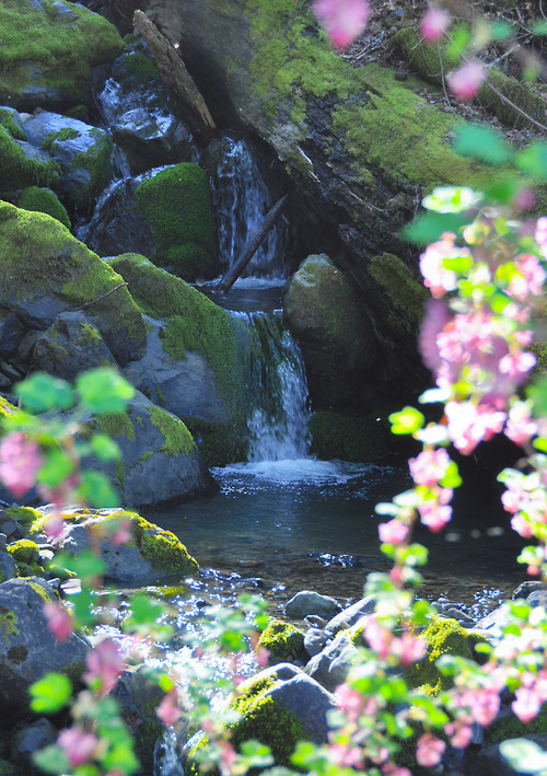 Waterfall, Humboldt, California