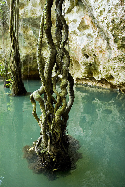 Near the entrance of Barton Creek Cave in Belize .]]>” id=”IMAGE-m71pyfYa9S1r6b8aao1_500″ /></noscript><img class=