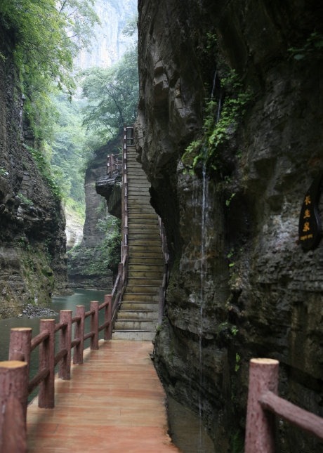 Canyon Path, Japan