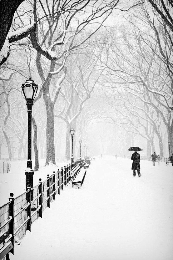 Snowy Day, Central Park, New York City