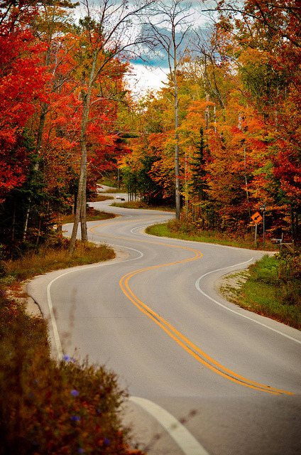 Winding road in Door County, Wisconsin, USA