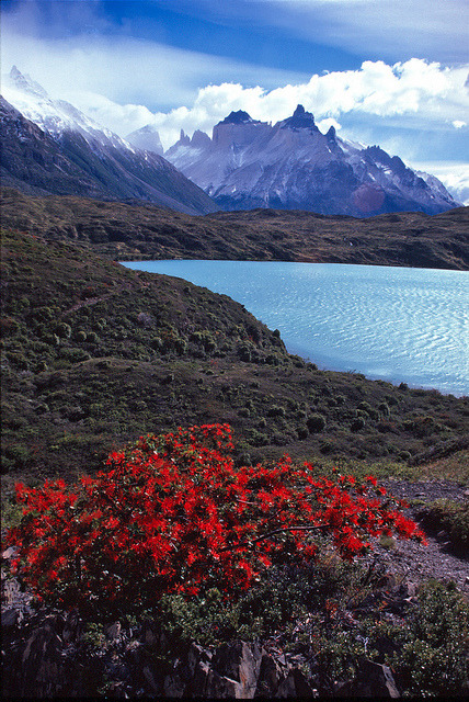 Tierra del Fuego, Lago Grey, Chile