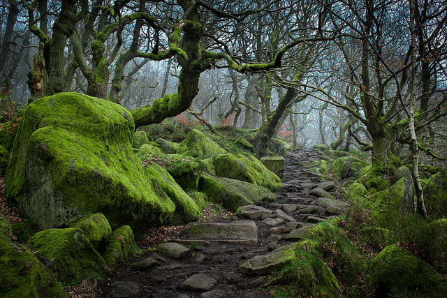 Forest path to Padley Gorge, Peak District / UK