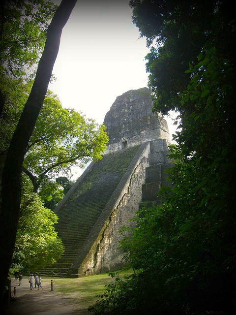Lost city in the jungle, Tikal / Guatemala